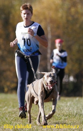 Tri studne MR 06 - 310.JPG